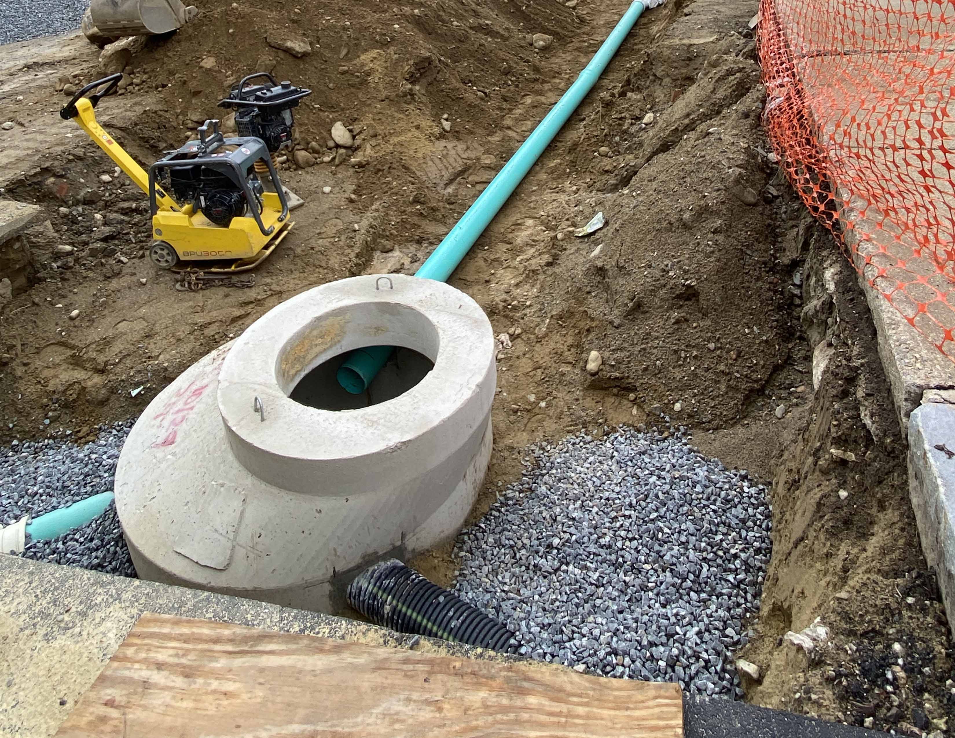 Commercial Landscape Renovation